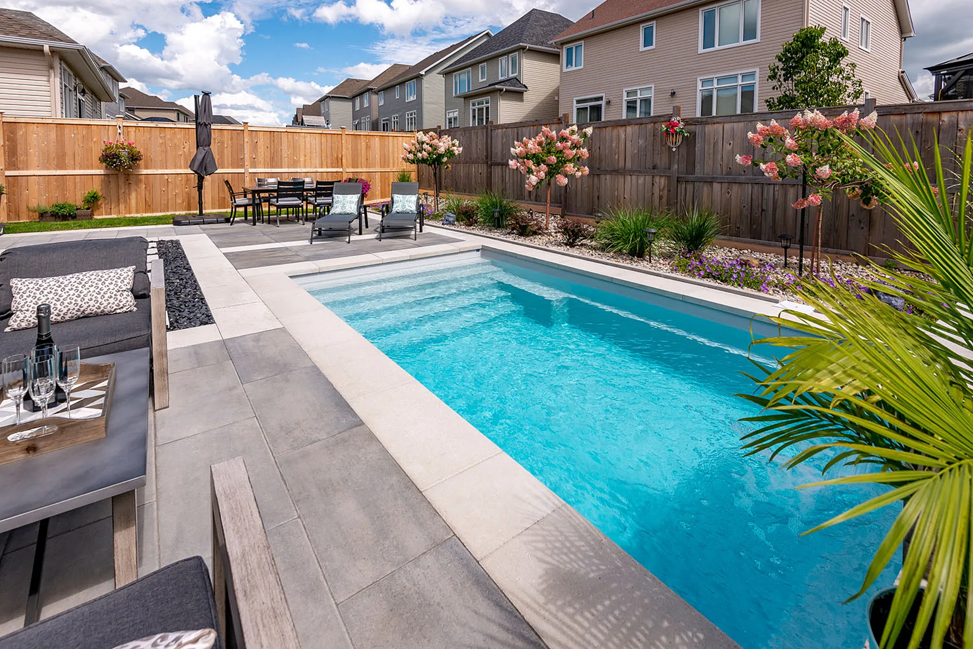 Azoria how to prevent and get rid of pool algae complete guide