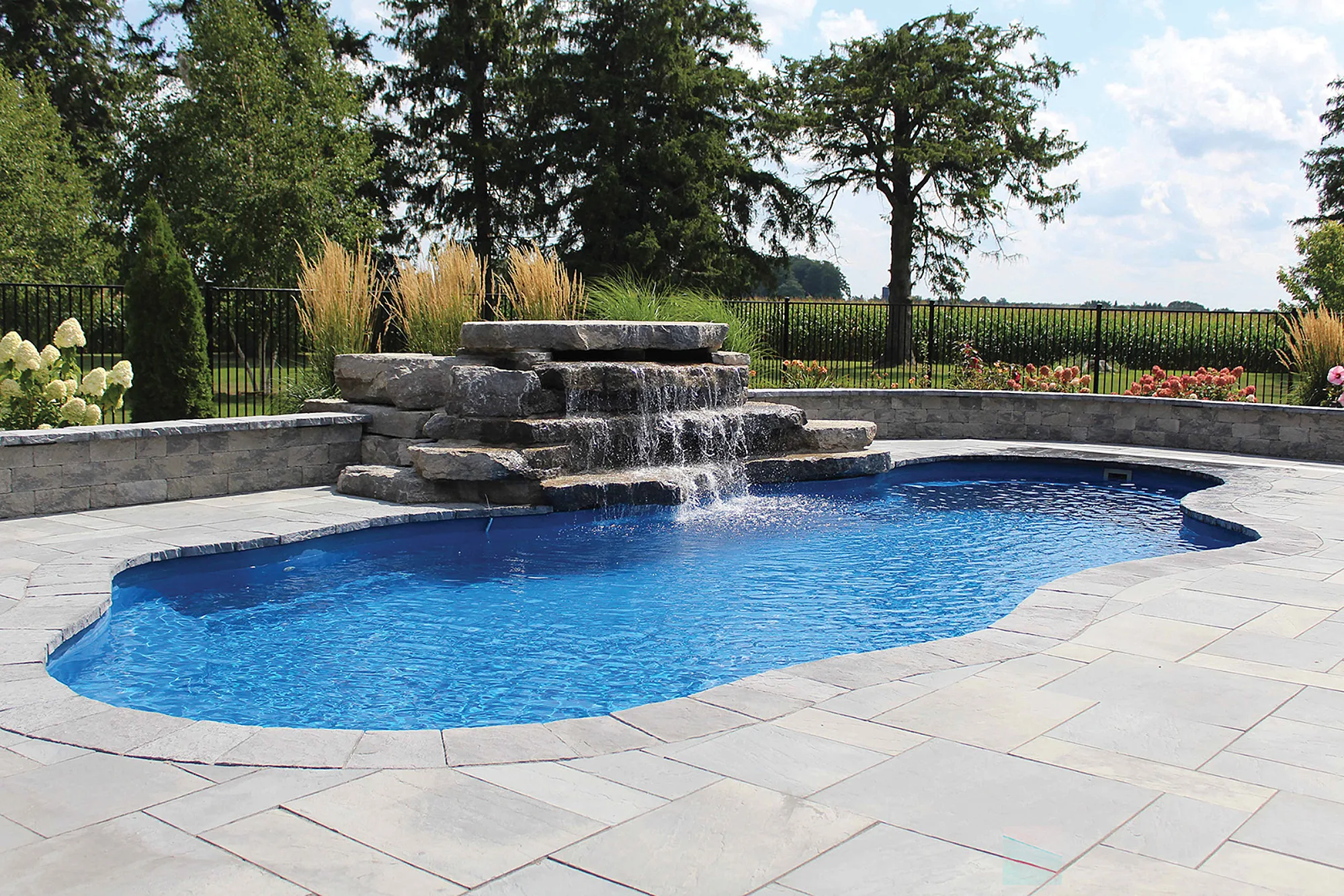 Azoria freeform vs rectangular pools which shape matches your backyard vibe