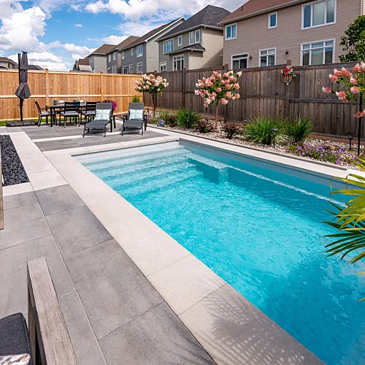 Azoria how to prevent and get rid of pool algae complete guide