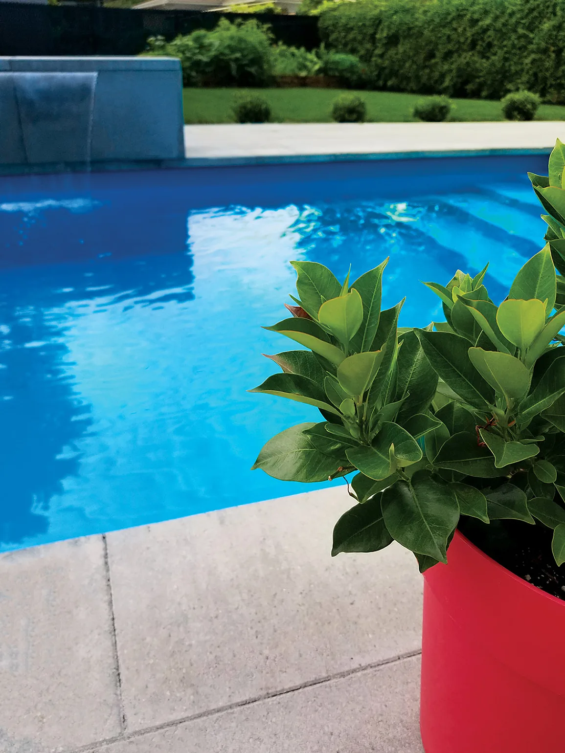 AQUARINO AQUA 01 low