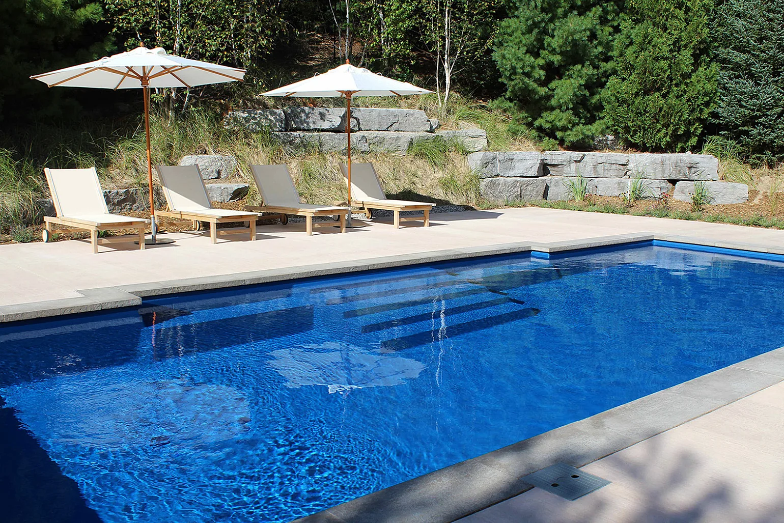 DOLPHIN_Britannia_Pacific_16x35_001