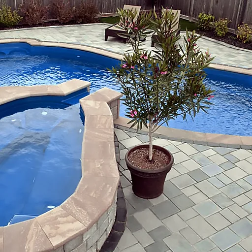 DOLPHIN Wasaga Pacific 14x32 York Spa 004 low