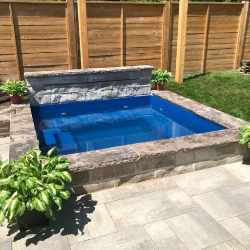 DOLPHIN_Trent_Pacific_8x8