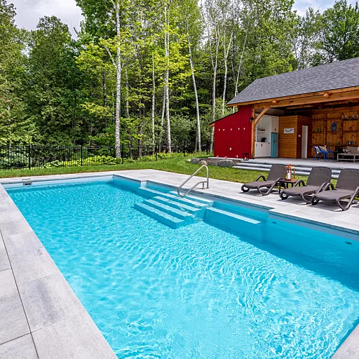 DOLPHIN_BRITANNIA_GRISARCTIQUE_4859