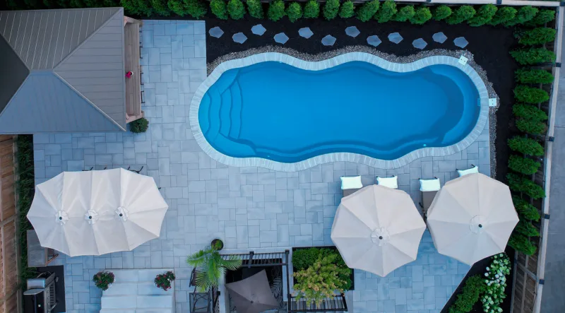 DOLPHIN_Oka_Aqua_06_15x36