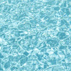 Azoria arctic grey color