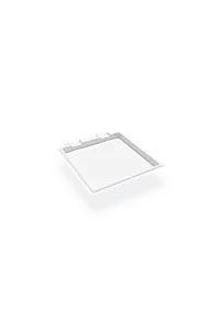 DOLPHIN Swanson 9x9 web